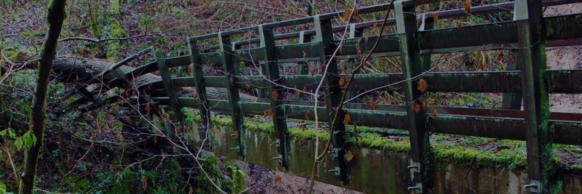 A wodden bridge damaged by a fallen tree